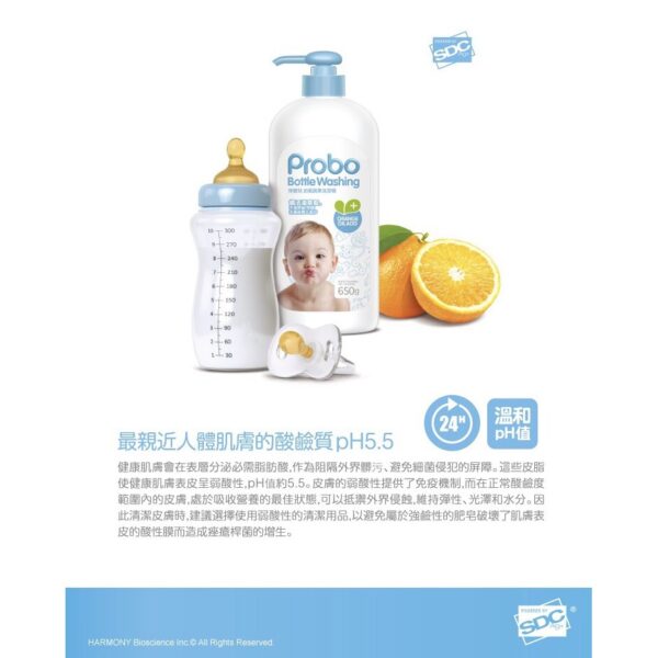 現貨附發票 Probo 博寶兒 奶瓶蔬果清潔液 奶瓶洗潔精 補充包 快速溶解奶垢、油汙 洗劑不殘留