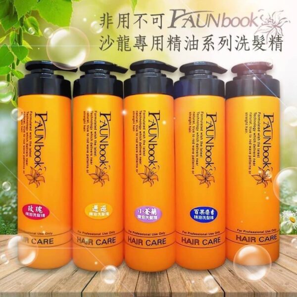 現貨附發票 非用不可FAUNBOOK 沙龍專用全系列 洗護髮 毛囊精華液 護髮素 朔型乳 胺基酸修護 柔順王