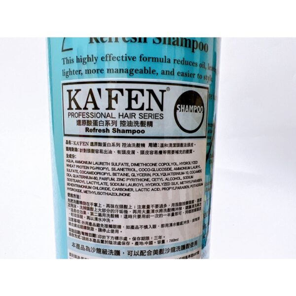 全館附發票 KAFEN 還原酸蛋白系列 洗髮精 護髮素 760ml 保濕控油 鎖色燙後 深層護髮 卡氛 生薑 洗髮